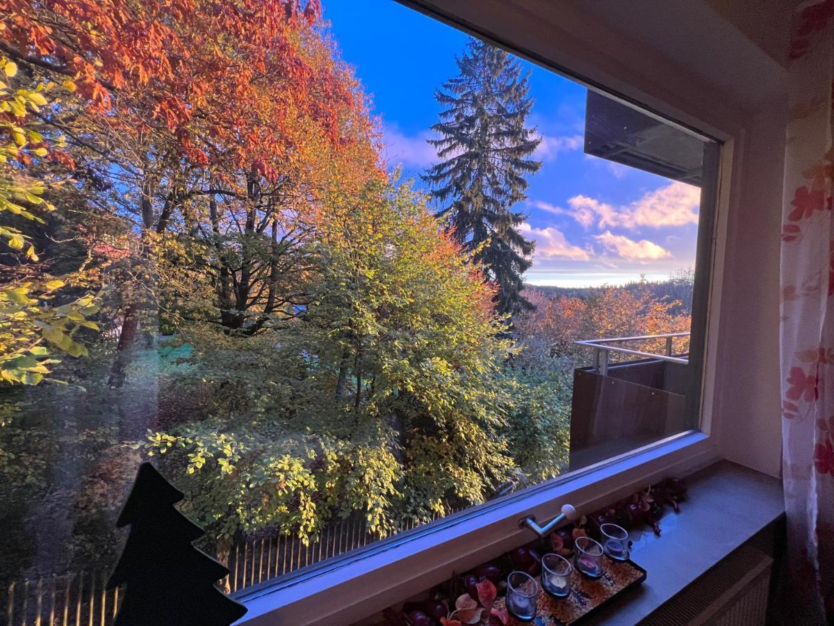 Moderne Und Zentral Gelegene Ferienwohnung In Braunlage Mit Rodelpiste Und Start Ski Langlauf In 300 Metern Entfernung Εξωτερικό φωτογραφία