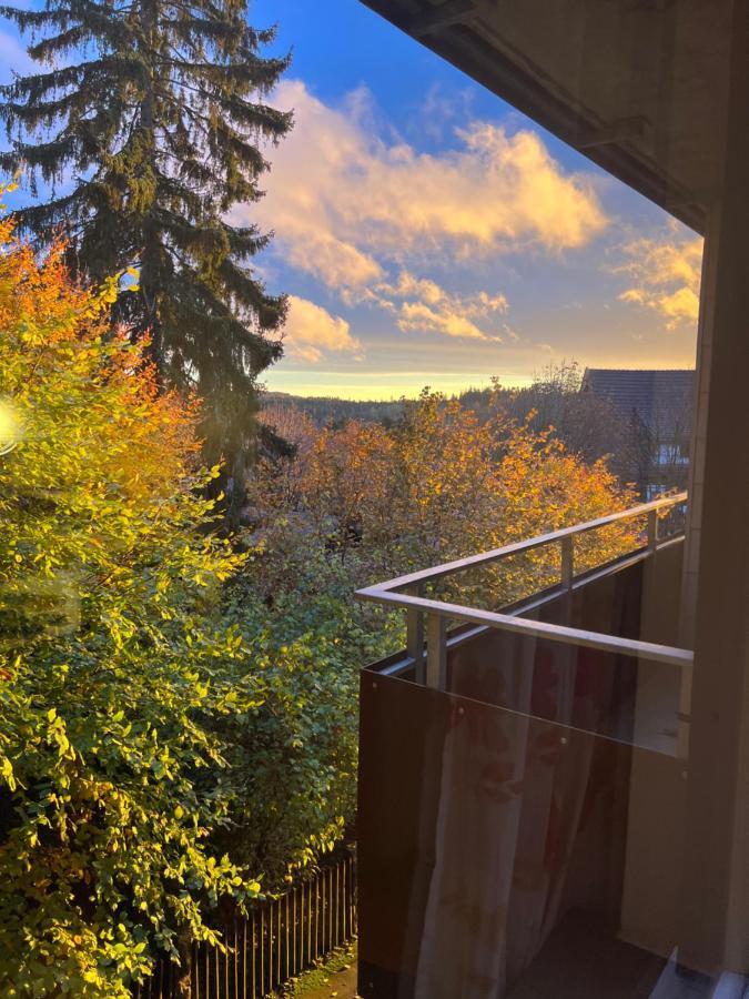 Moderne Und Zentral Gelegene Ferienwohnung In Braunlage Mit Rodelpiste Und Start Ski Langlauf In 300 Metern Entfernung Εξωτερικό φωτογραφία
