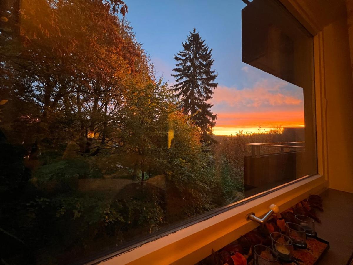 Moderne Und Zentral Gelegene Ferienwohnung In Braunlage Mit Rodelpiste Und Start Ski Langlauf In 300 Metern Entfernung Εξωτερικό φωτογραφία